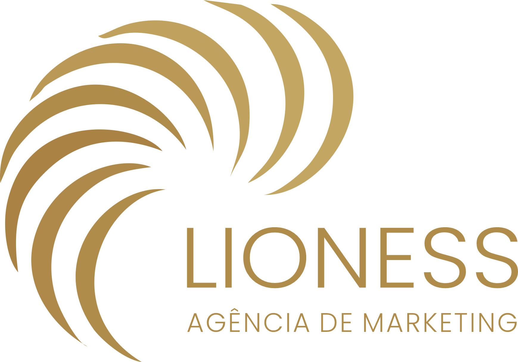 LIONESS Agência de Marketing